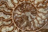 8.1" Agatized, Cut & Polished Ammonite Fossil - Madagasar - #191369-6